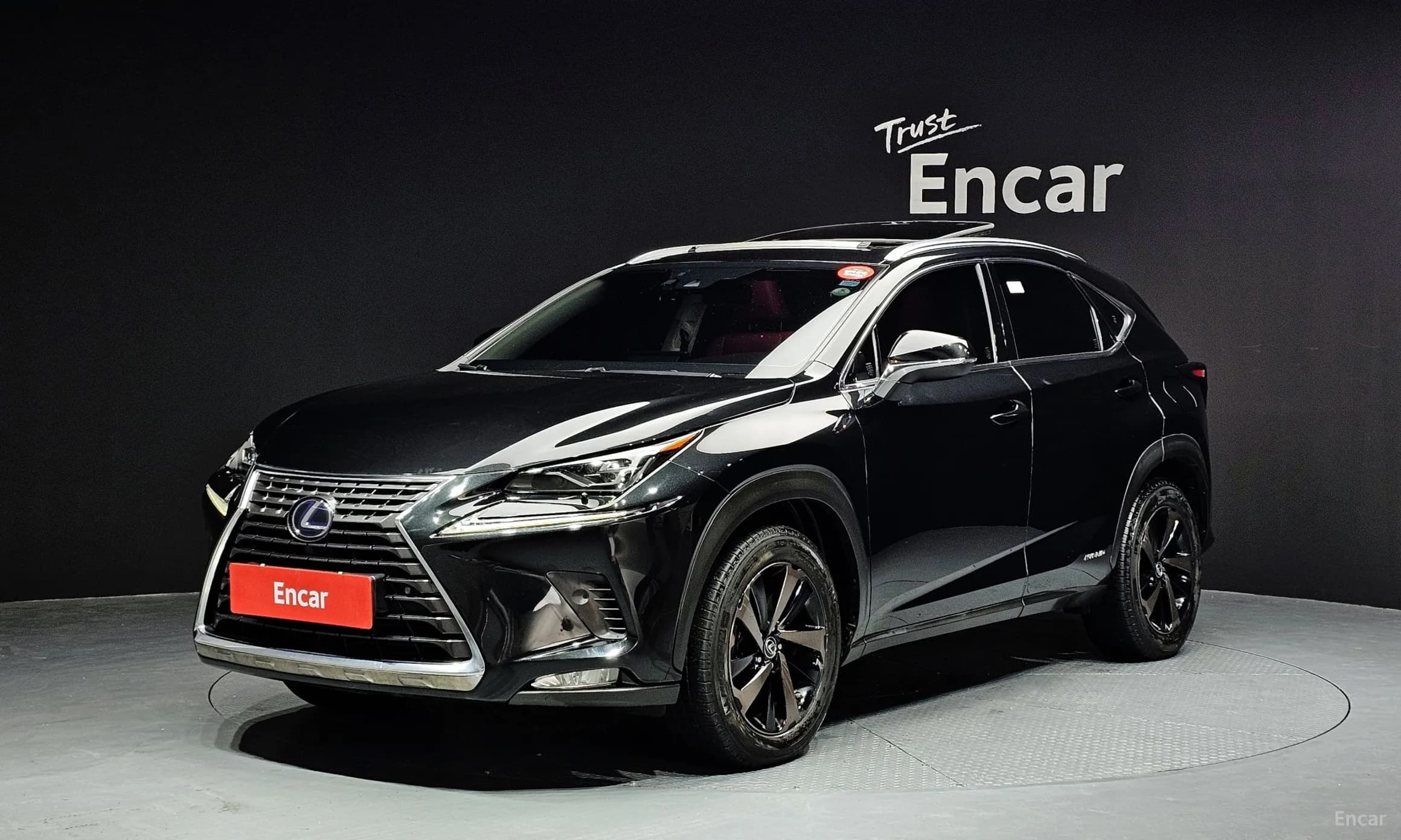 NX300h