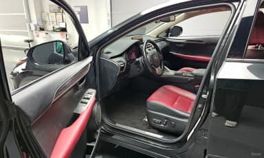 NX300h