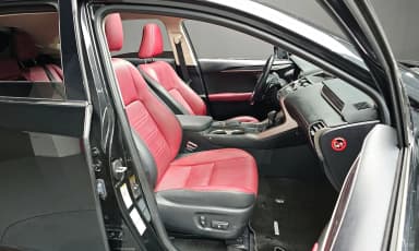 NX300h