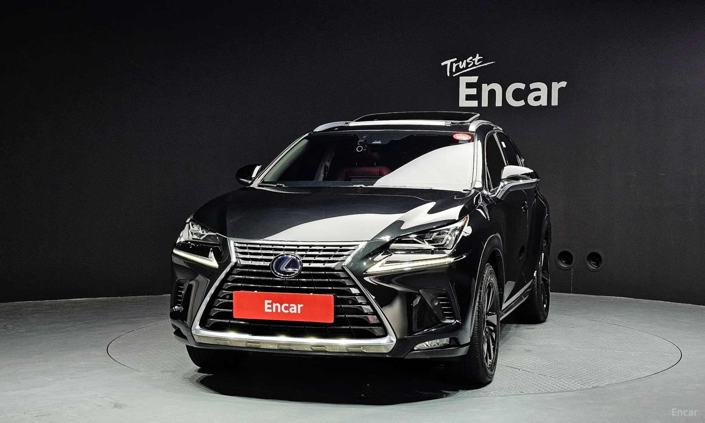 NX300h