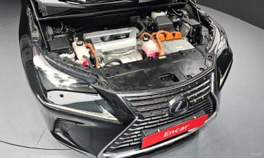 NX300h