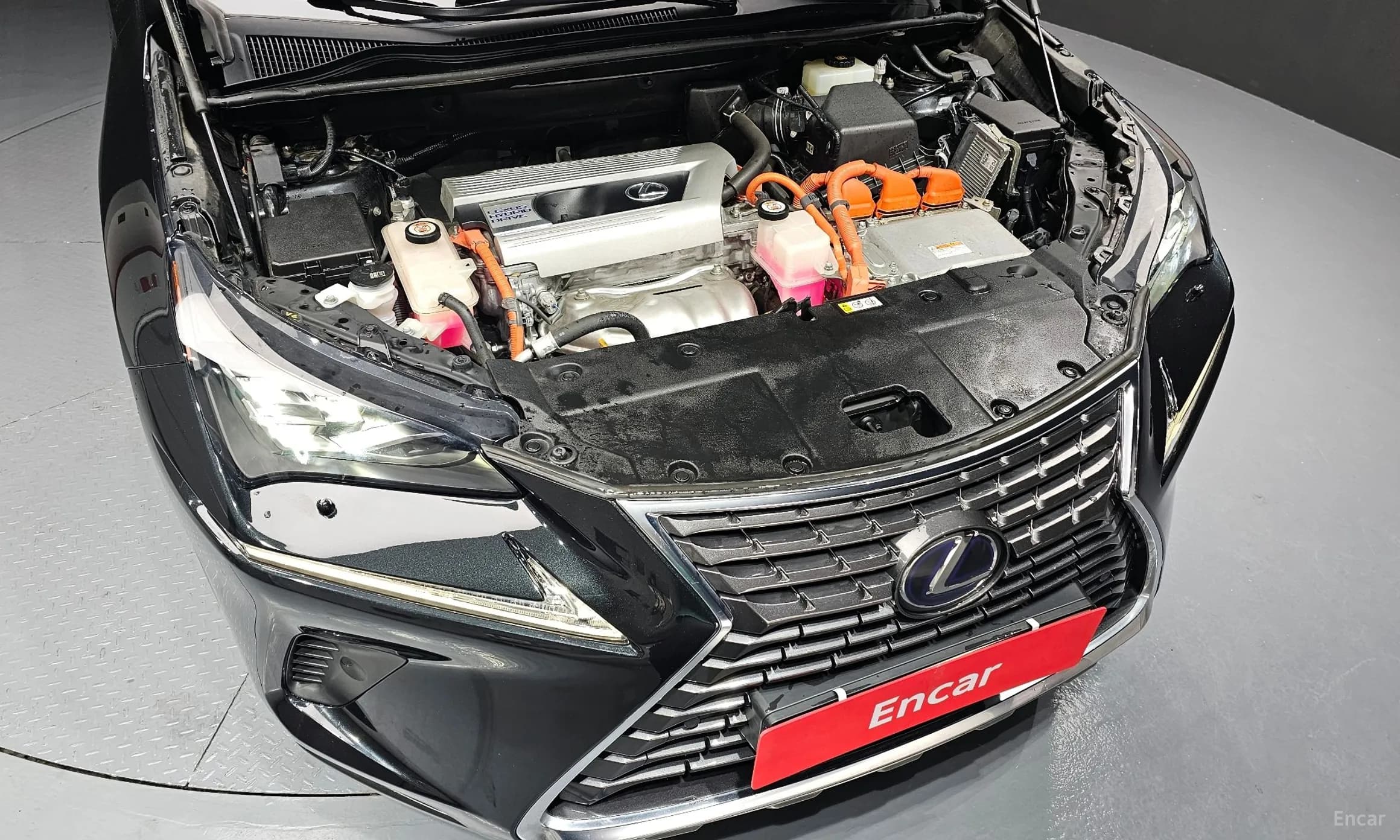 NX300h