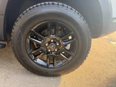 Defender (L663)