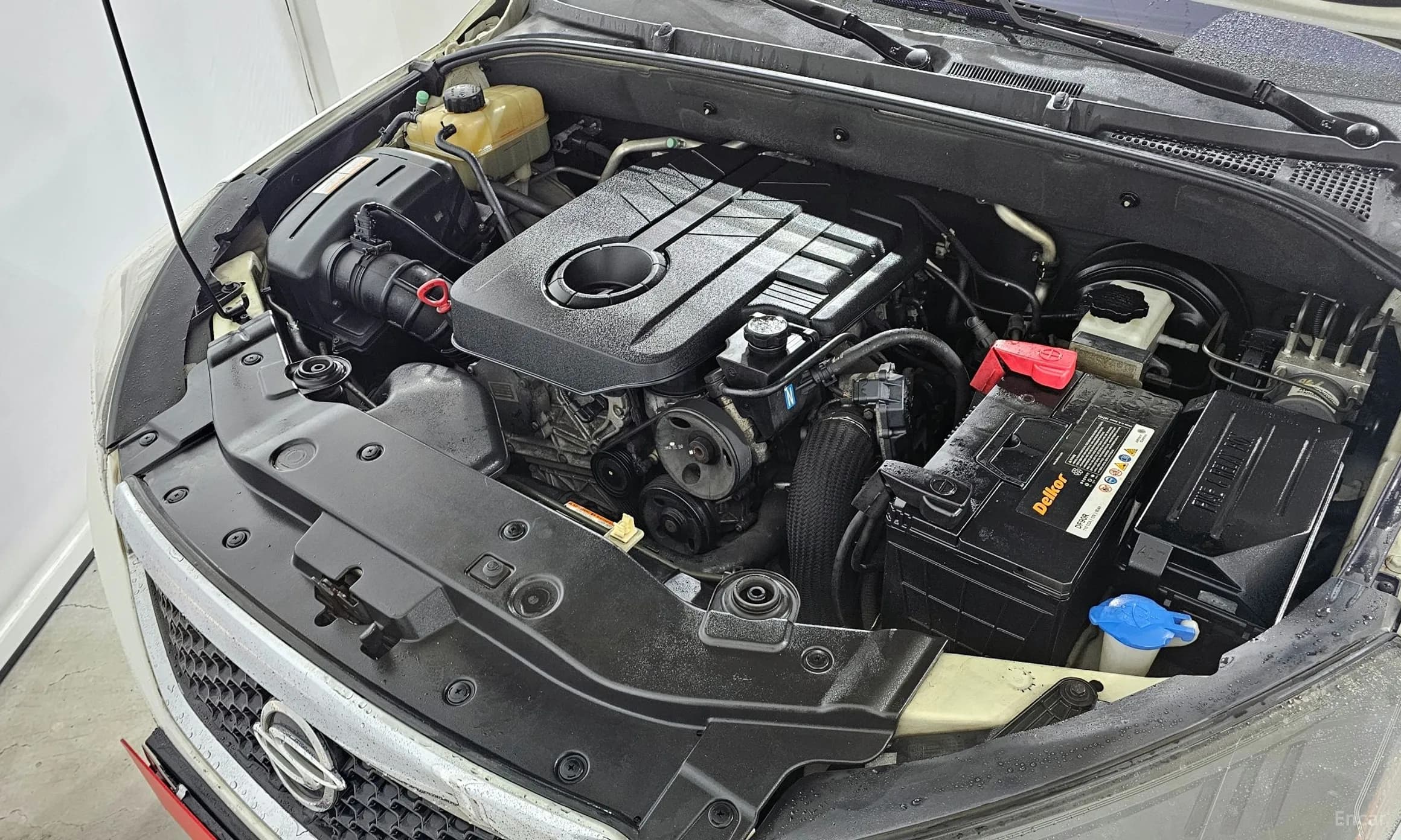 Korando Sports