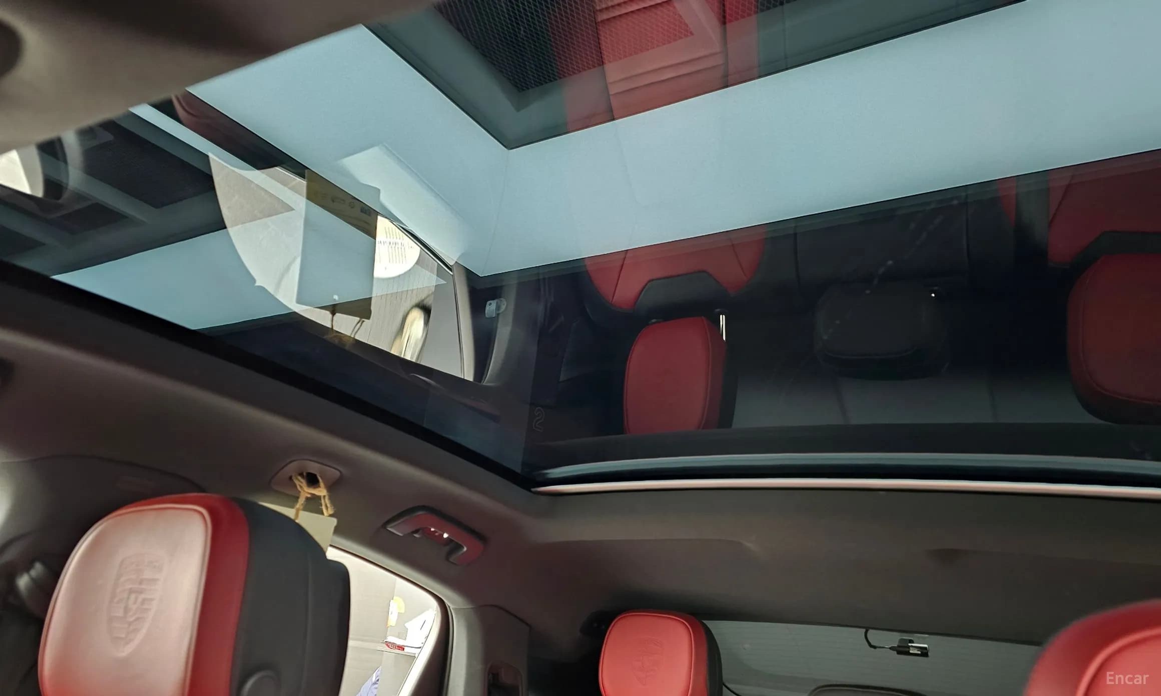 Cayenne (PO536)