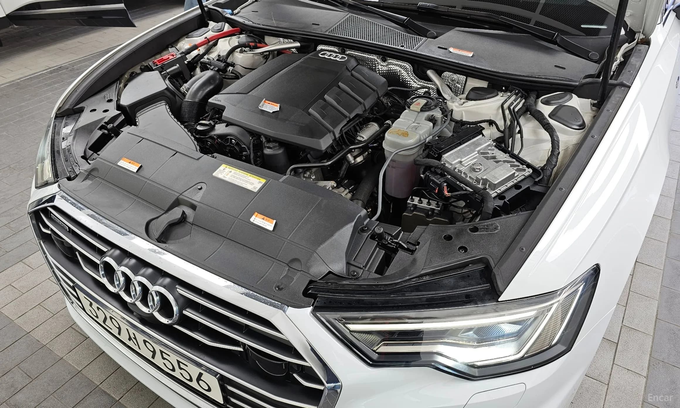 A6 (C8)