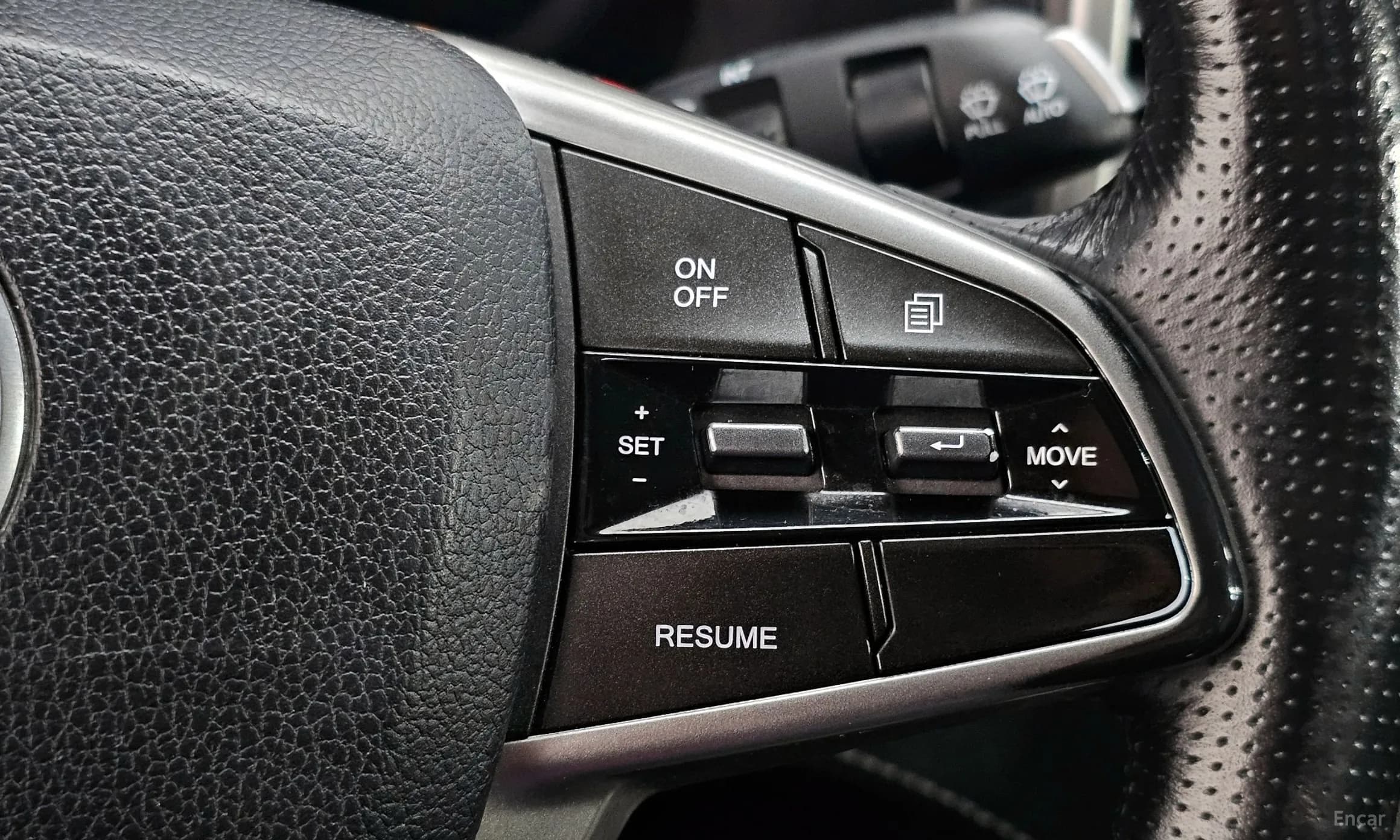 Rexton Sports