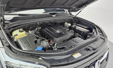Rexton Sports