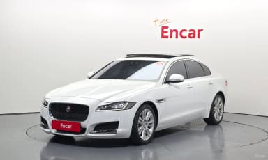 XF (x260)