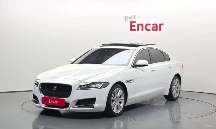 XF (x260)