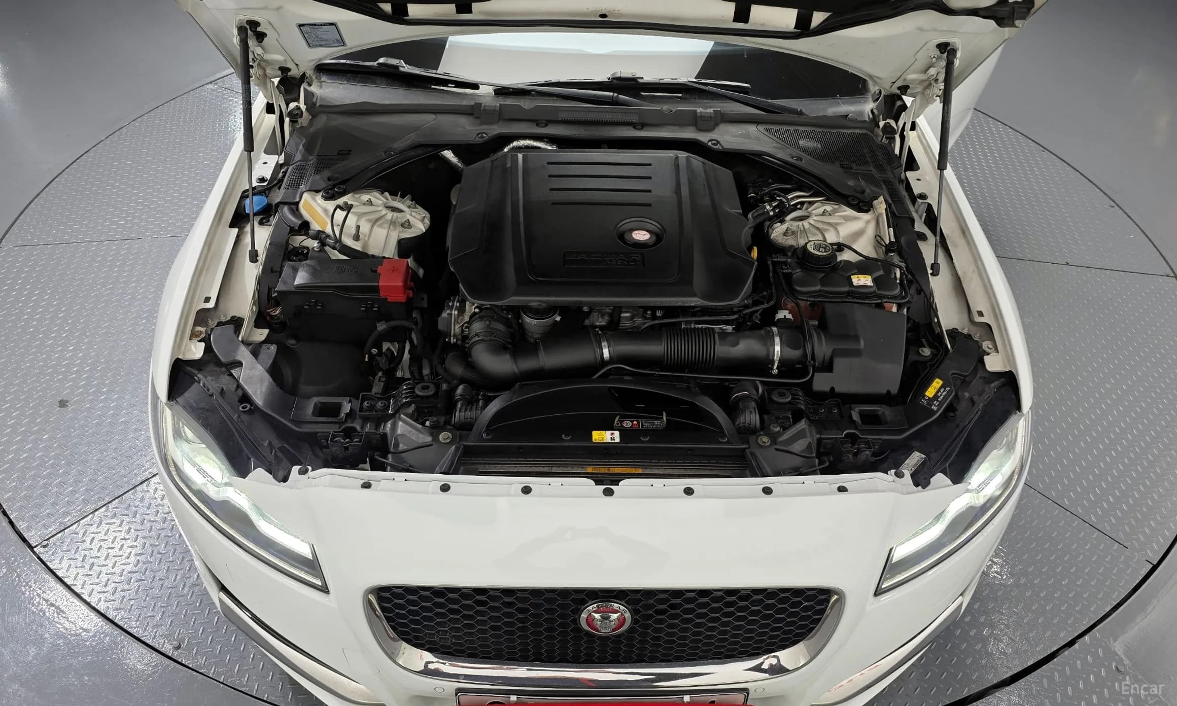 XF (x260)