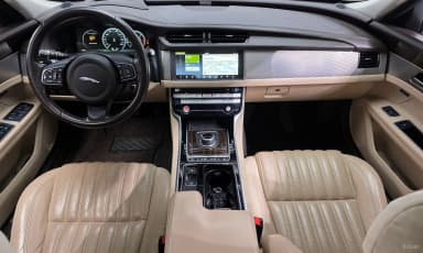 XF (x260)