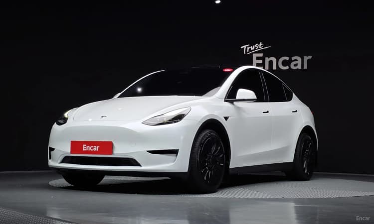 Model Y