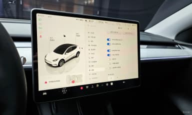 Model Y