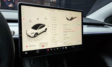 Model Y