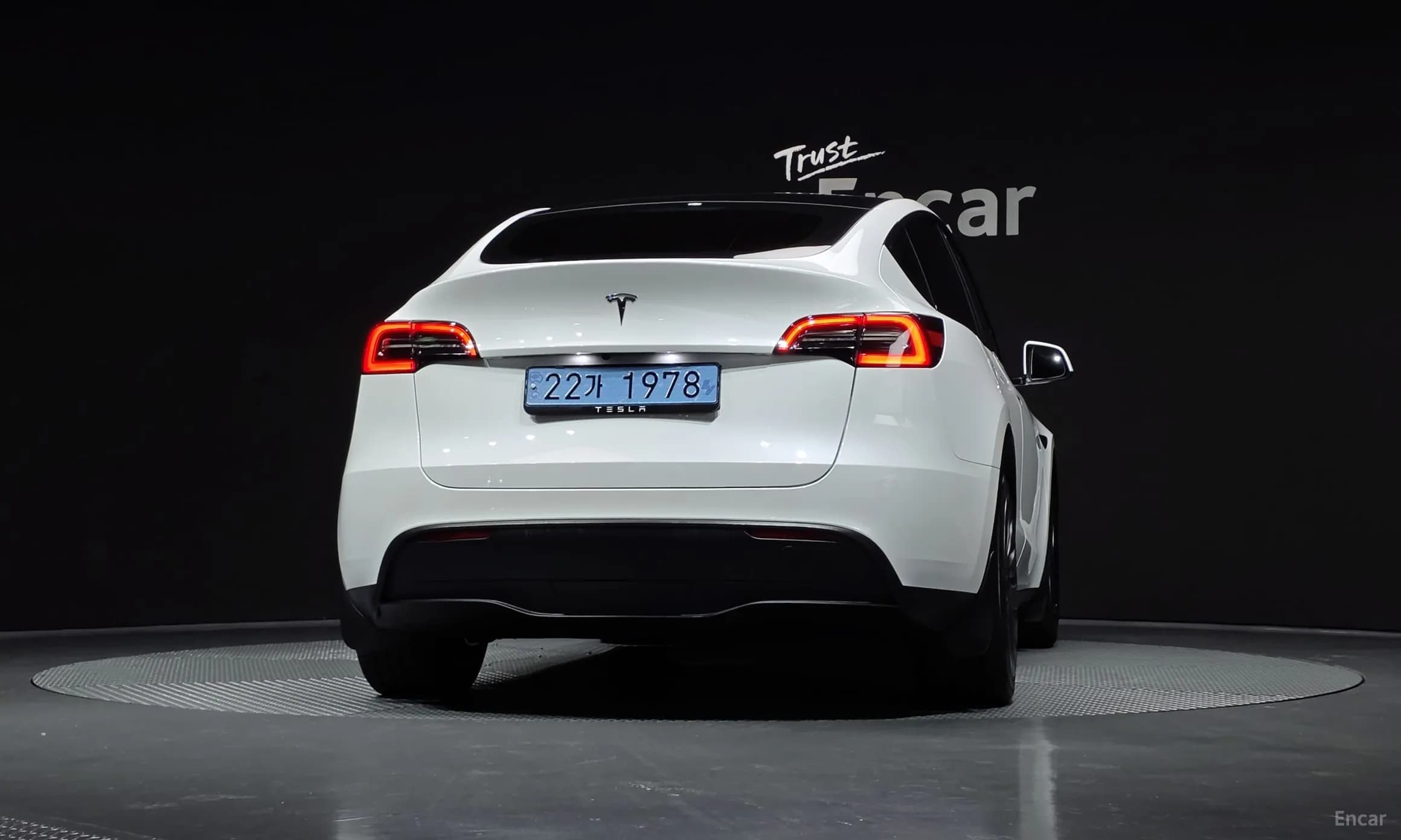 Model Y