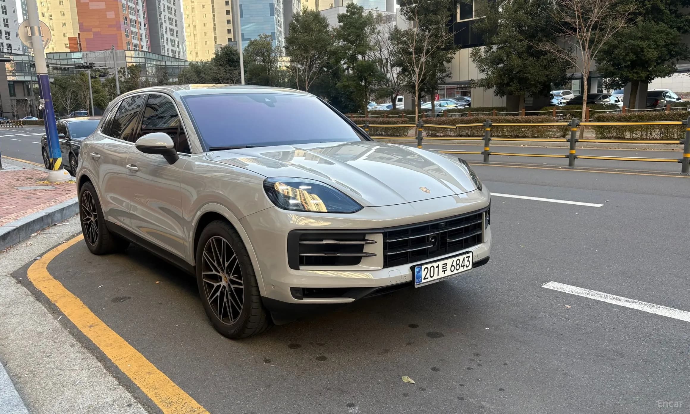 Cayenne (PO536)