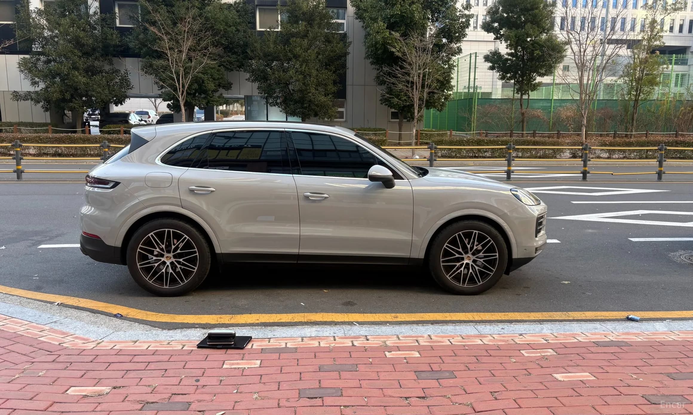 Cayenne (PO536)