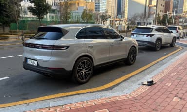 Cayenne (PO536)