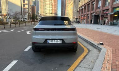 Cayenne (PO536)