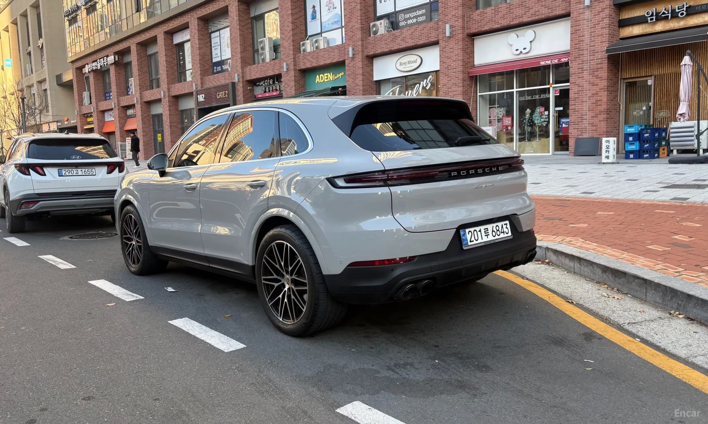 Cayenne (PO536)