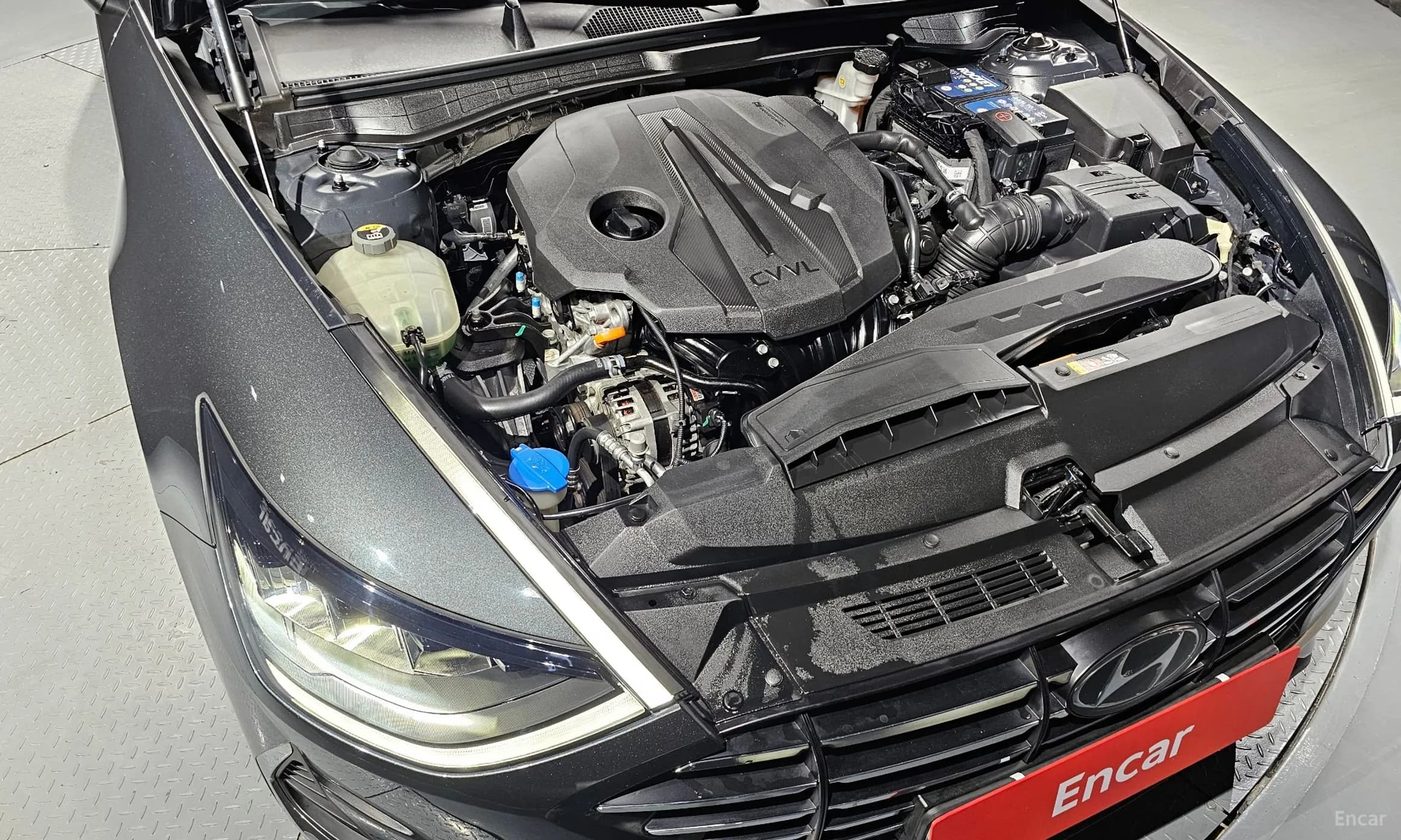 Sonata (DN8)