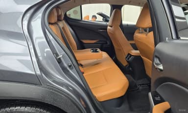 UX250h