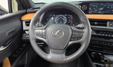 UX250h