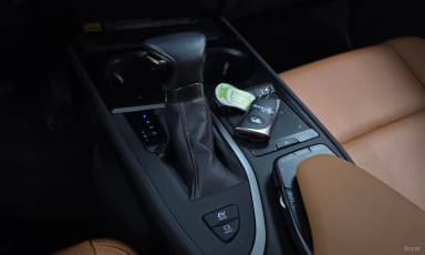 UX250h