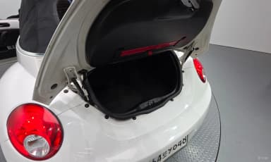 New Beetle