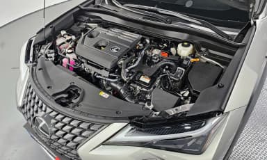UX300h