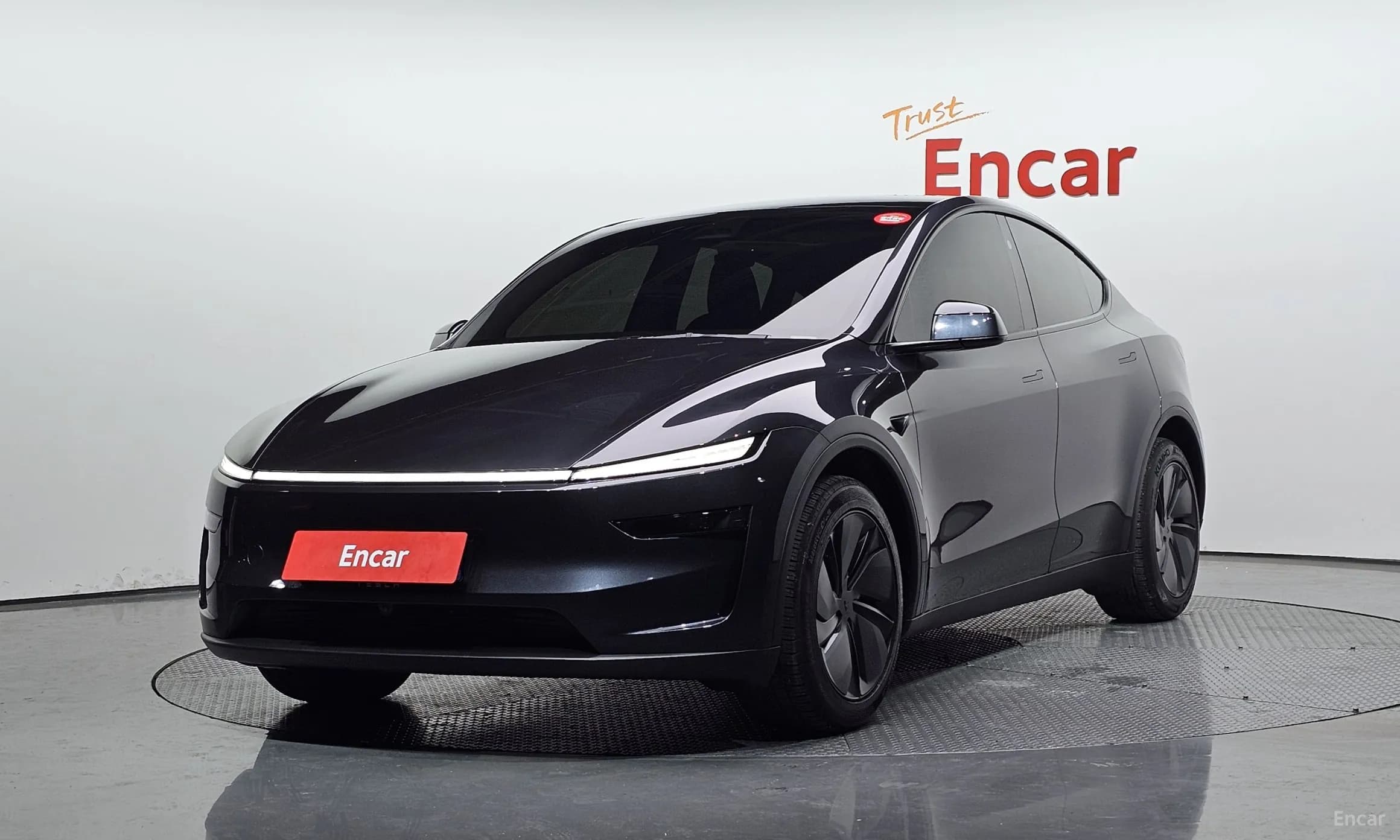 Model Y