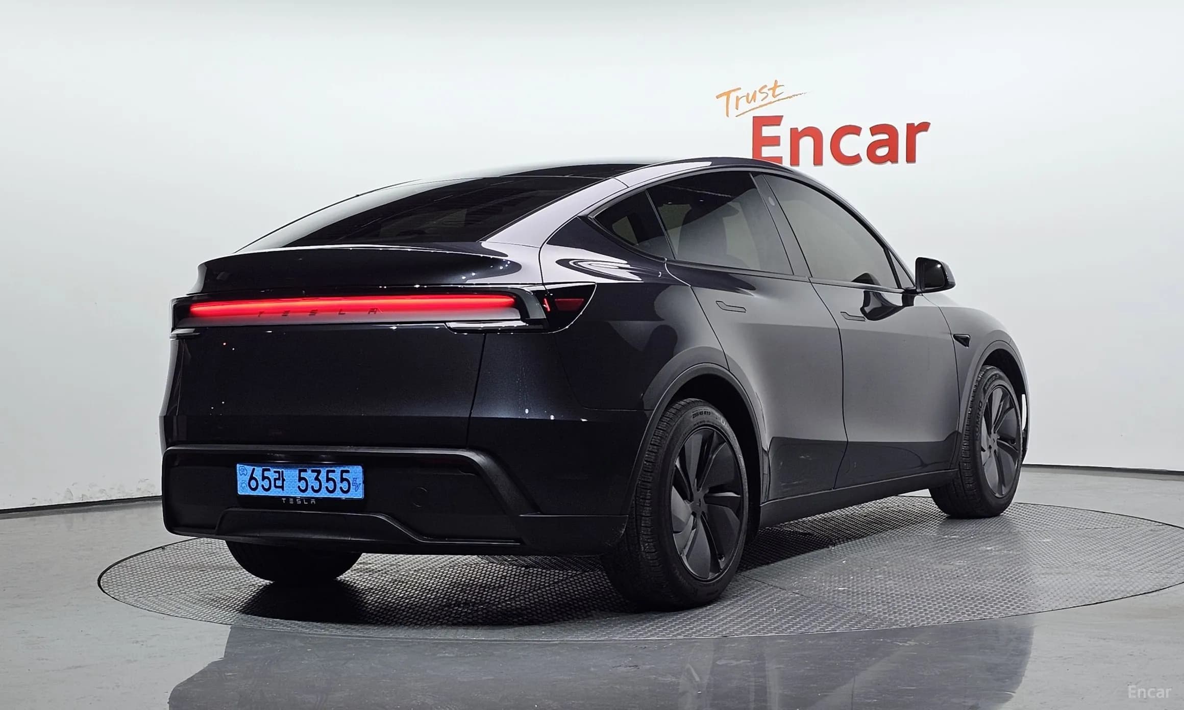 Model Y