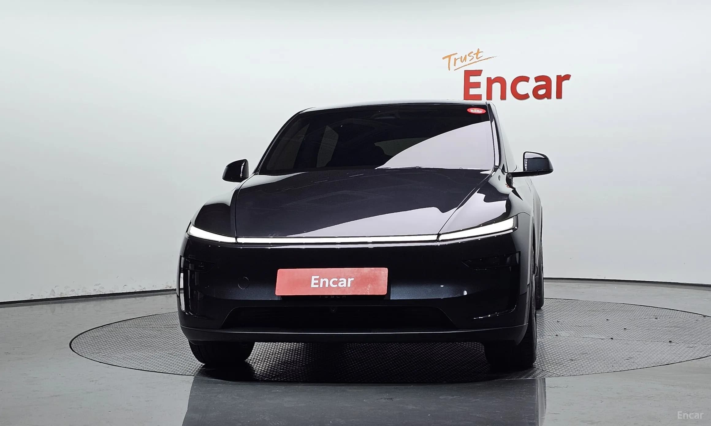 Model Y