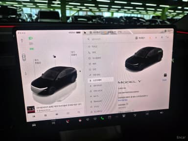 Model Y