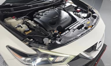 Maxima (A36)