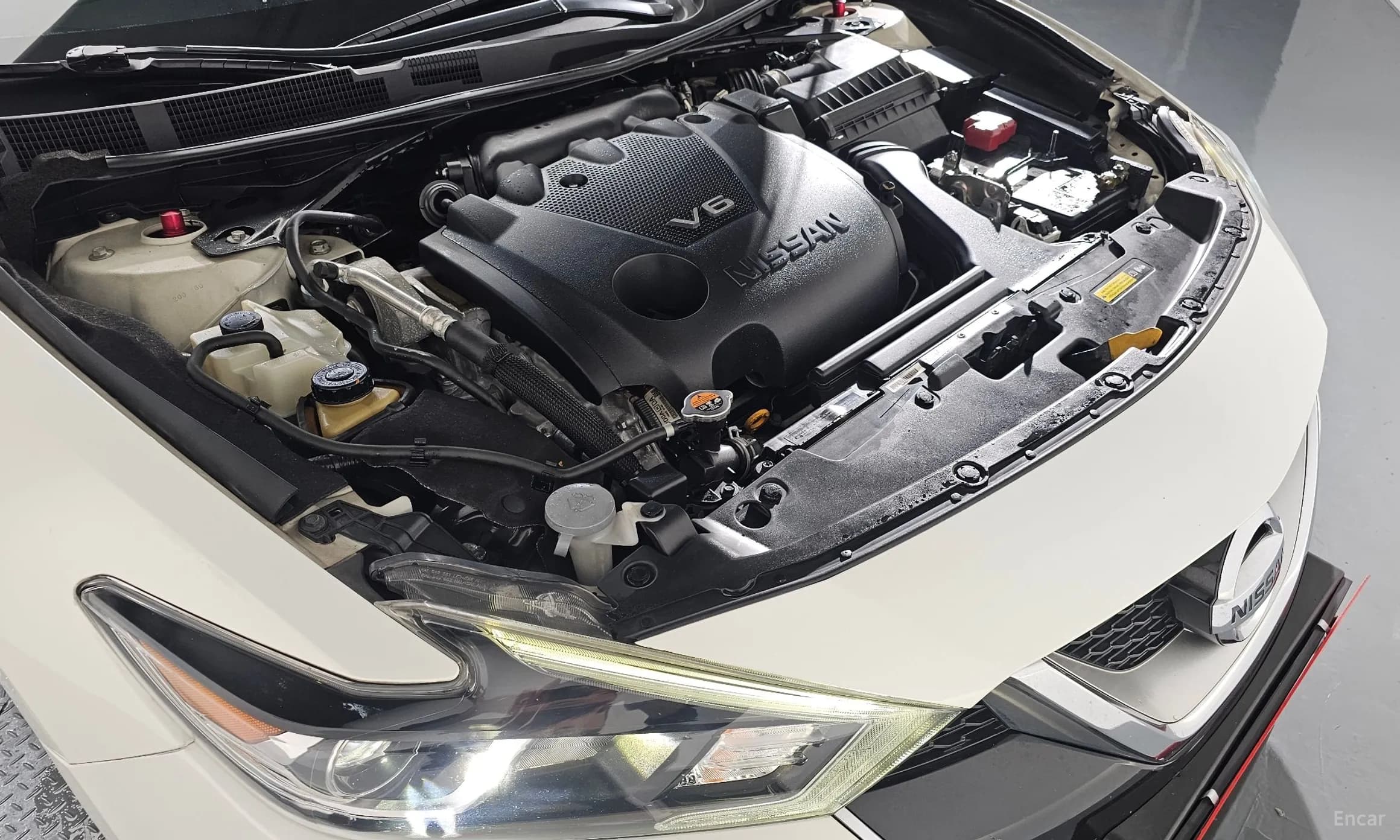 Maxima (A36)