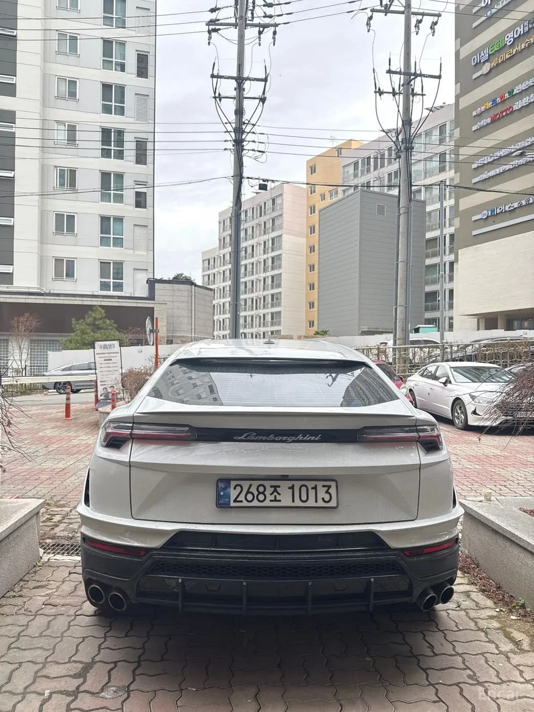 Urus