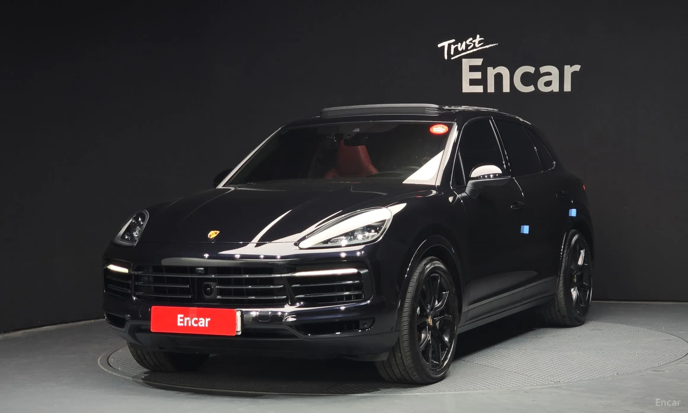 Cayenne (PO536)