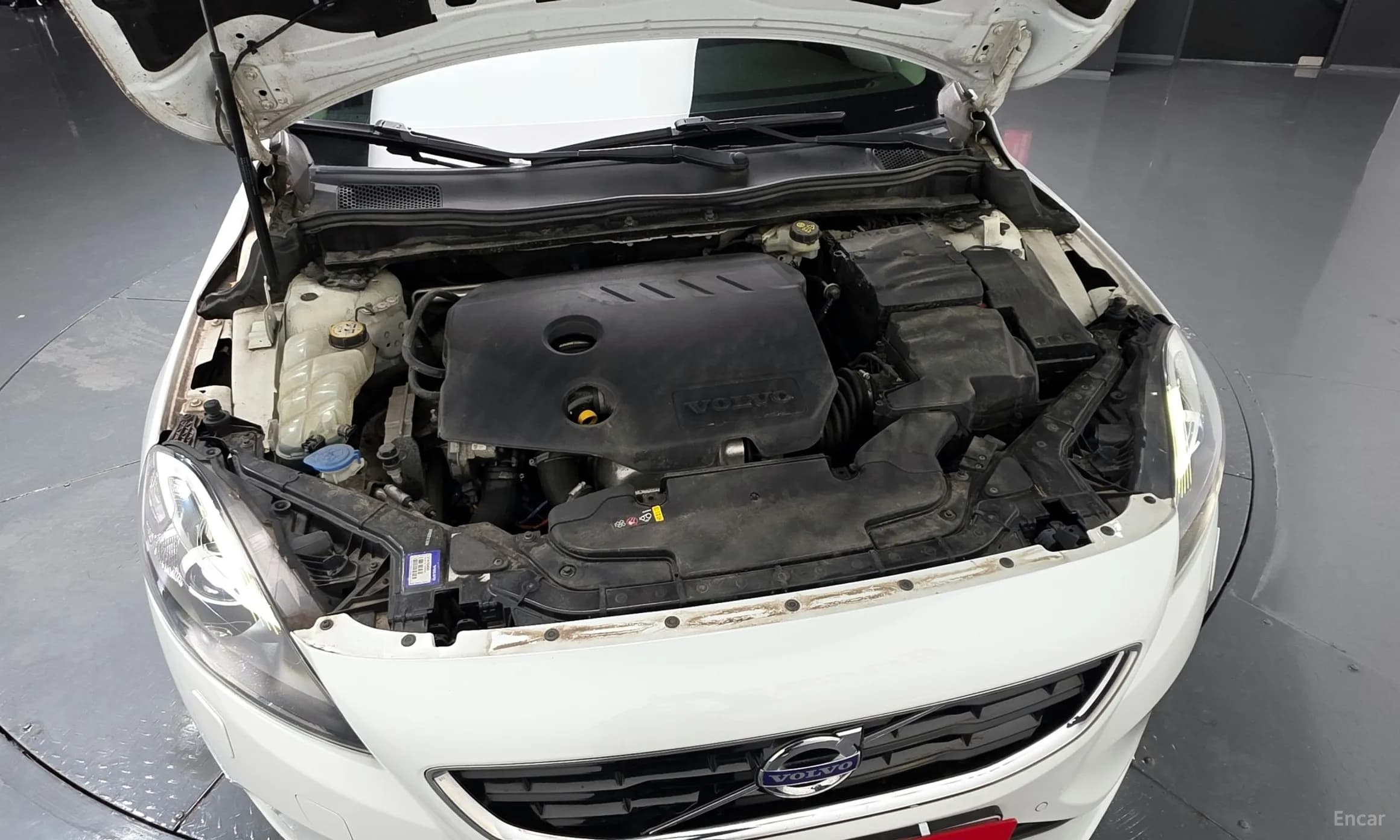 V40