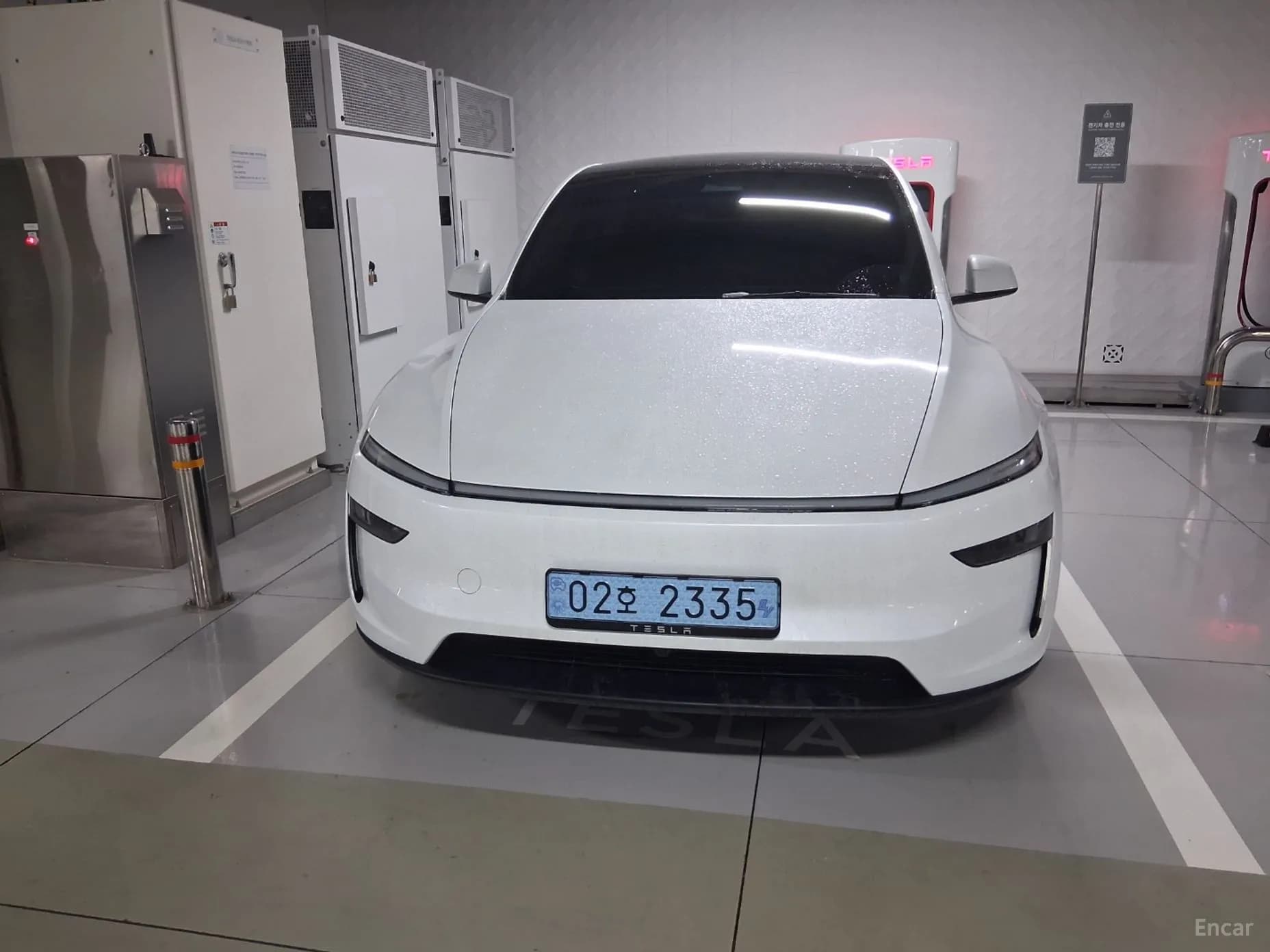 Model Y