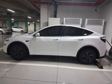 Model Y