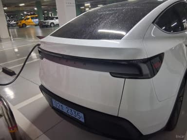 Model Y