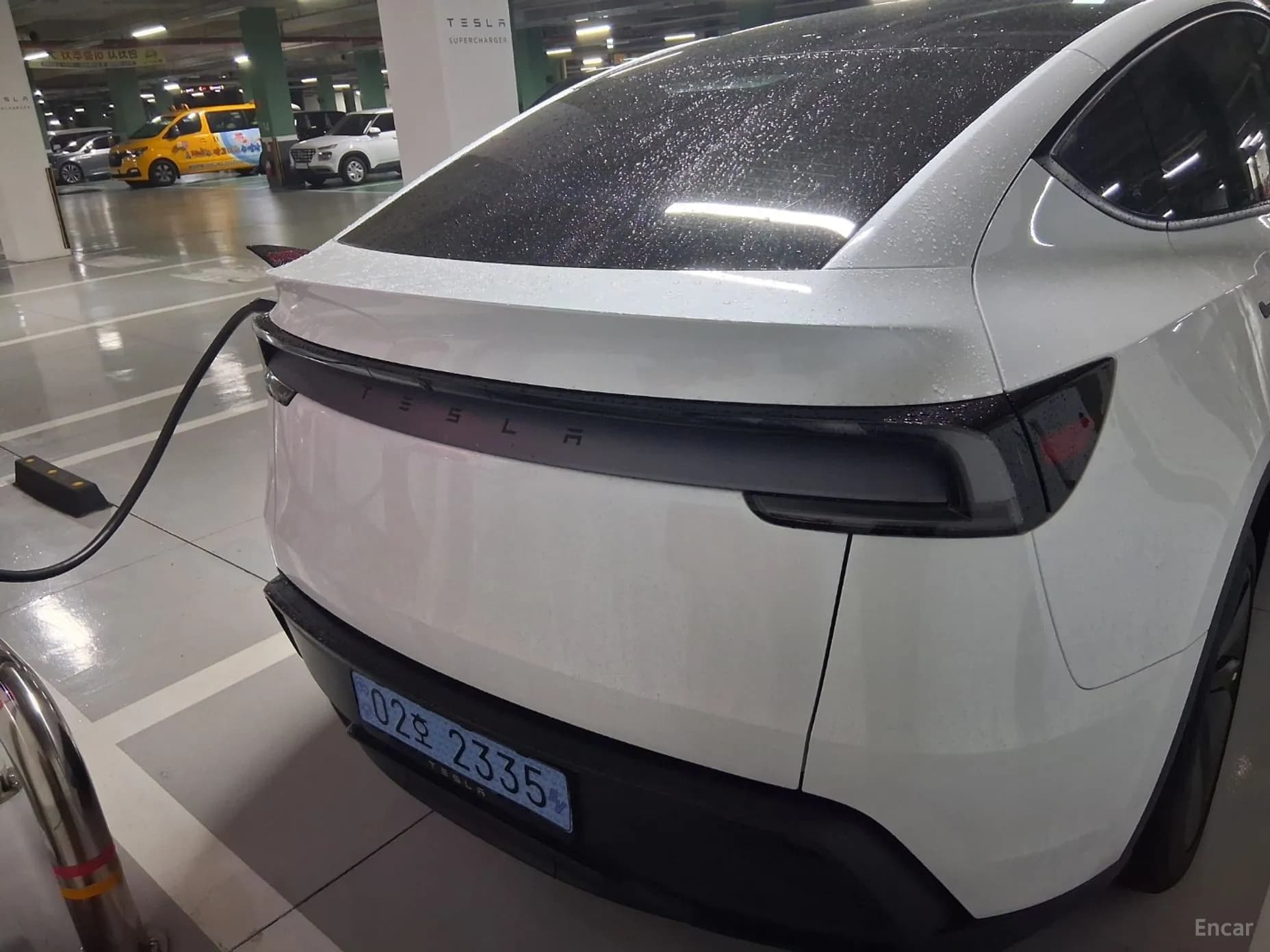 Model Y