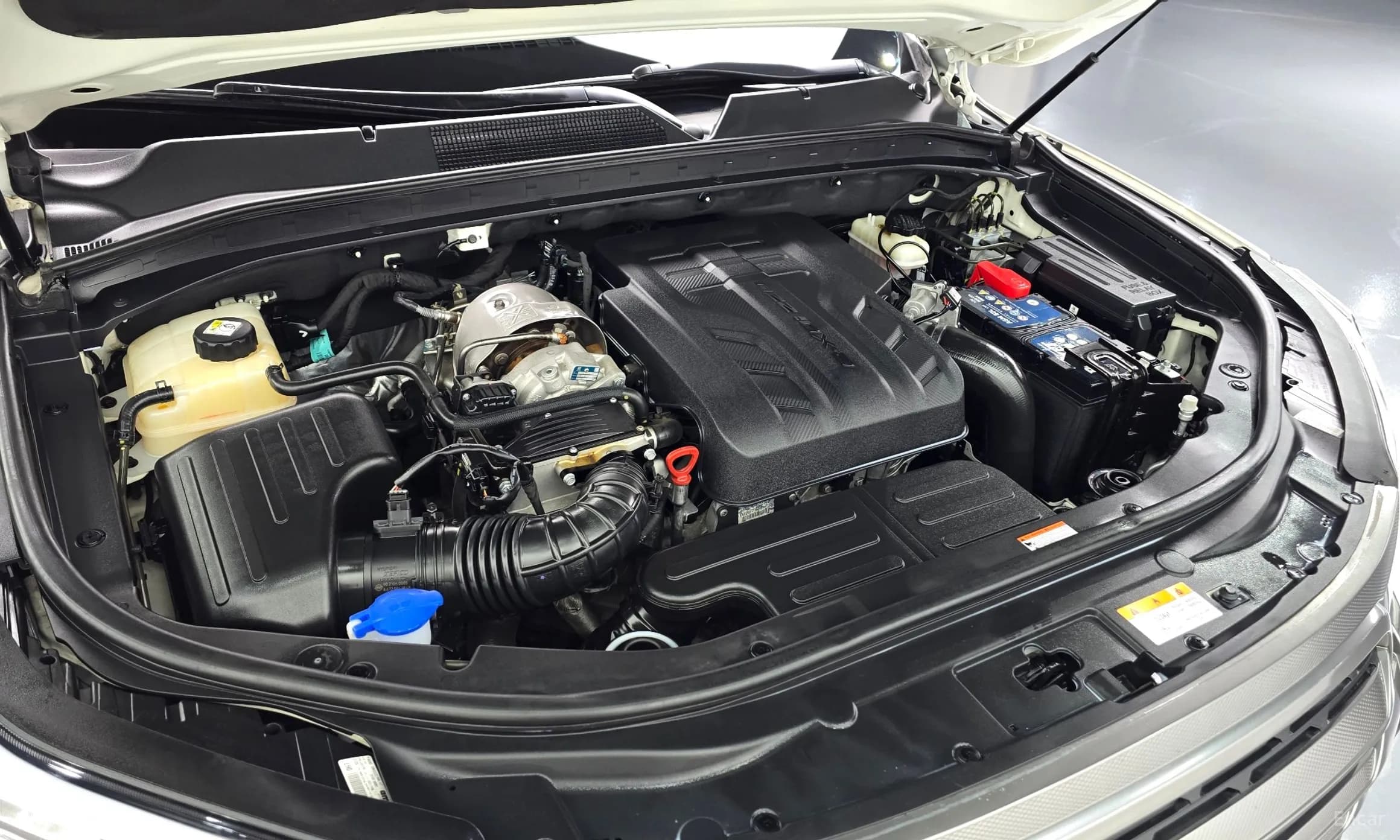 Rexton Sports