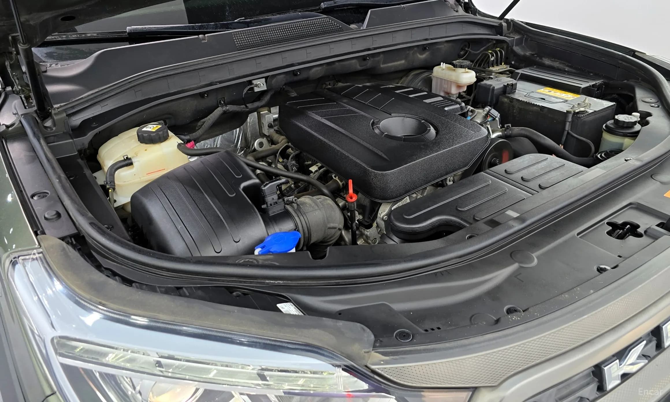 Rexton Sports Khan