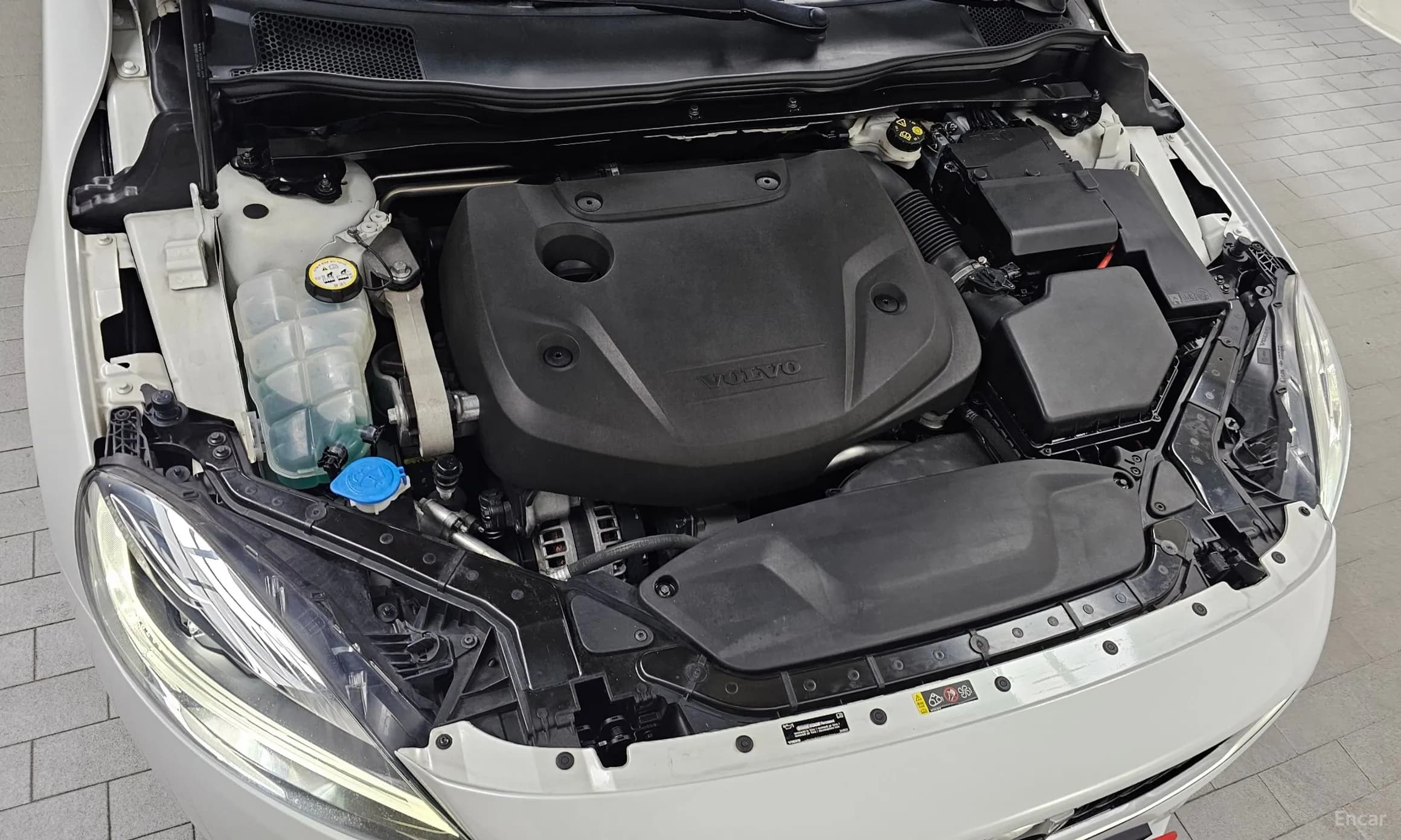 V40