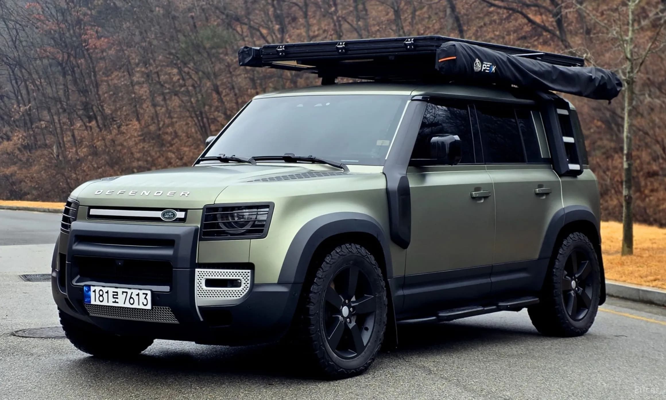 Defender (L663)