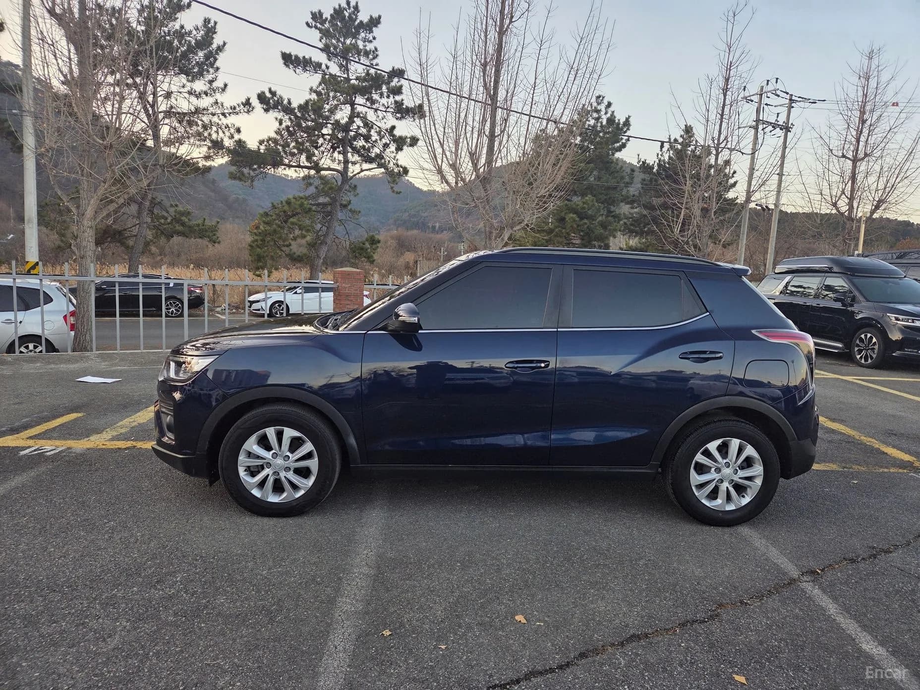 Berry New Tivoli