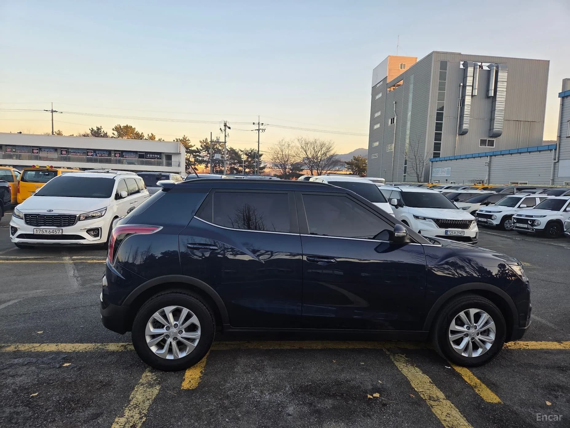 Berry New Tivoli